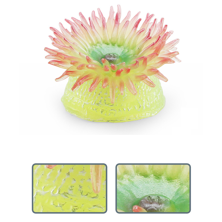 Realistic Coral Sea Anemones S - Kids Toys China ulasan dan harga
