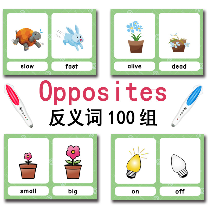 The 100 Groups Opposites Flash - Kids Toys China ulasan dan harga