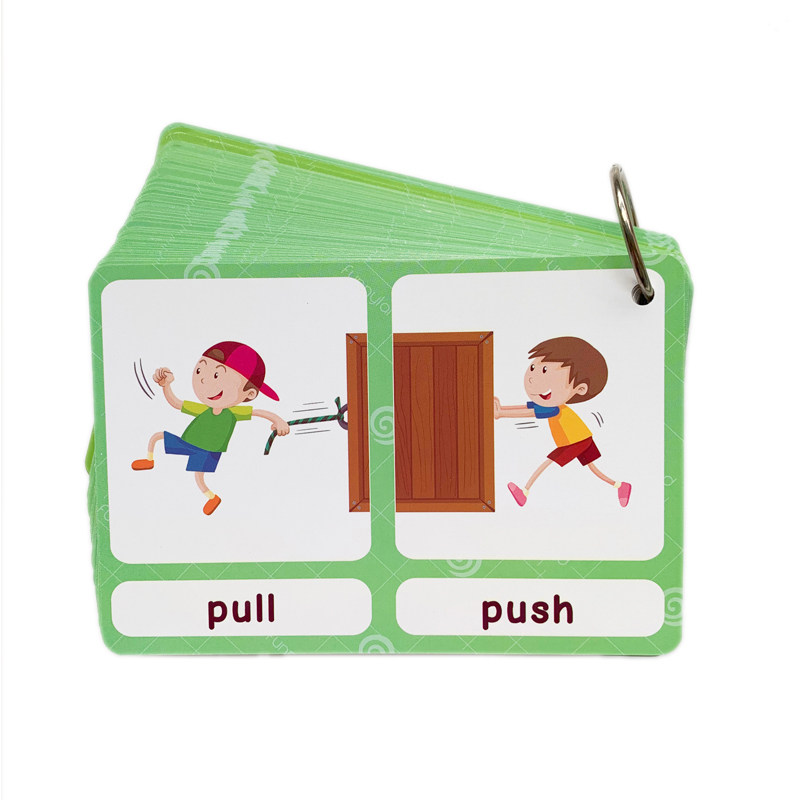 The 100 Groups Opposites Flash - Kids Toys China ulasan dan harga