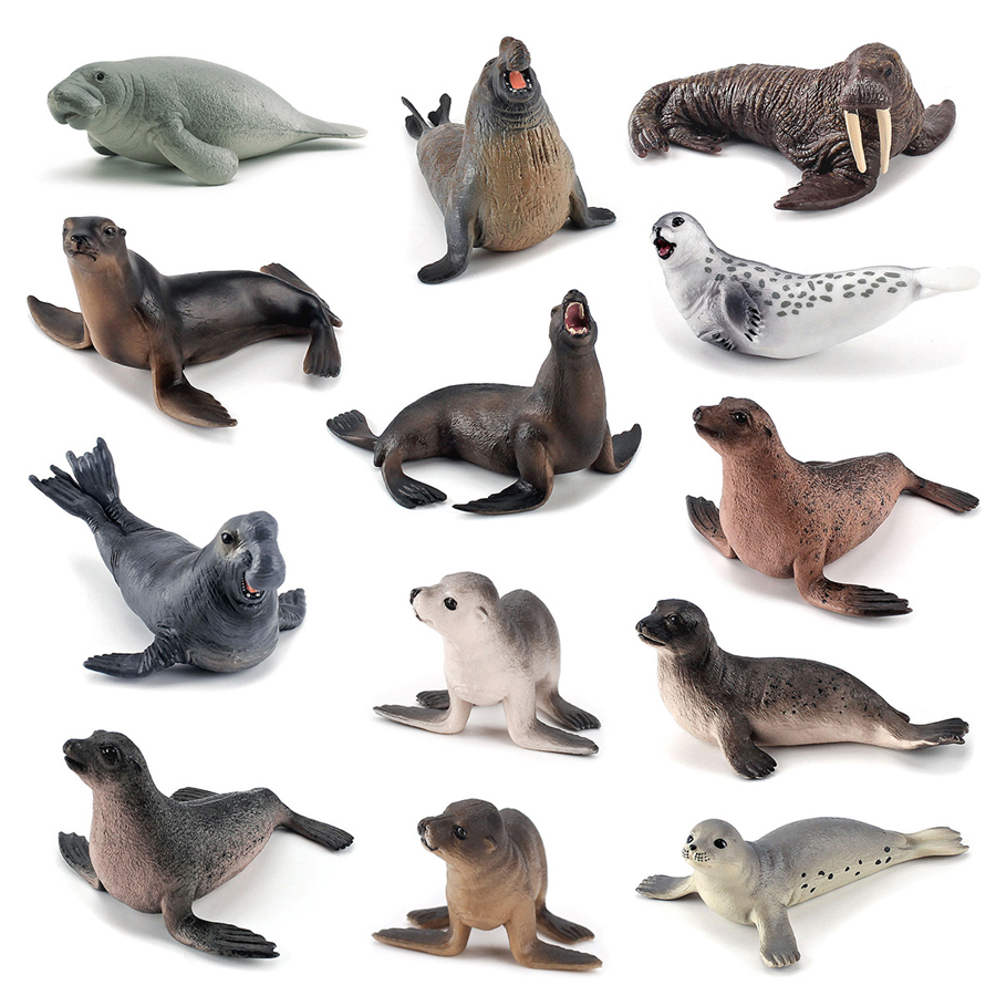 Realistic Dugong Manatee Walru - Kids Toys China ulasan dan harga