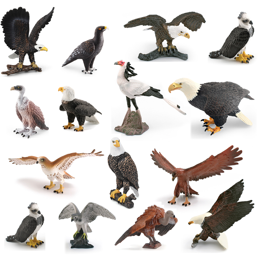 Realistic Wildlife Animal Bird - Kids Toys China ulasan dan harga