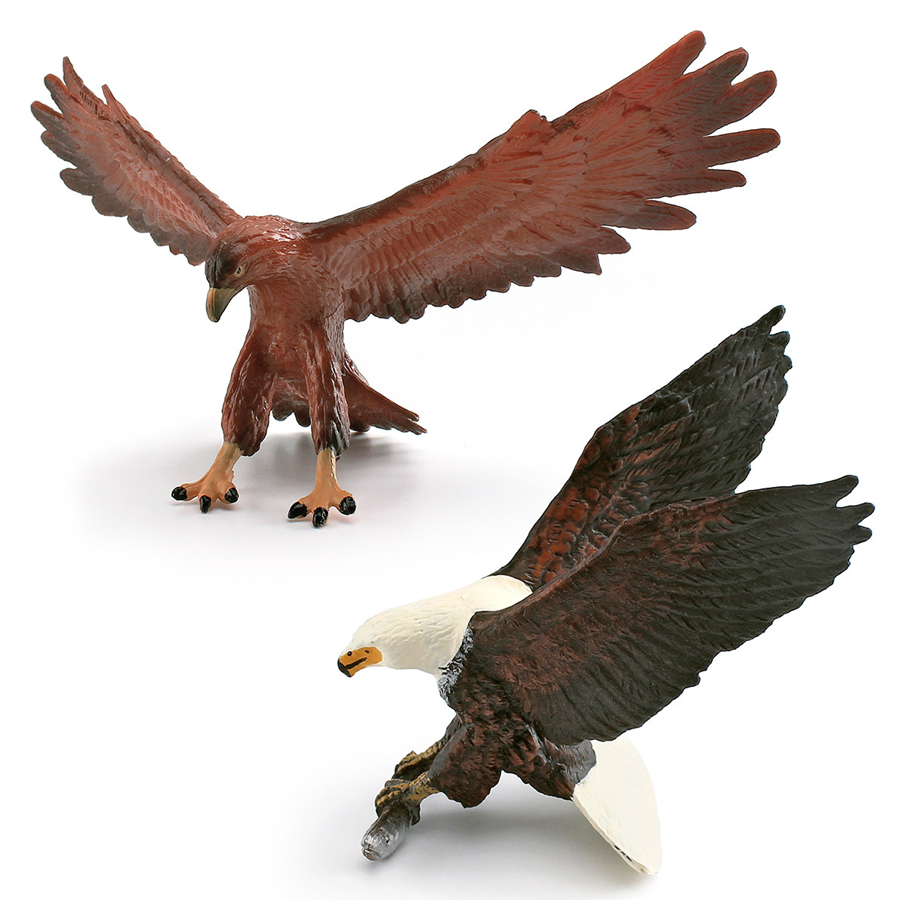 Realistic Wildlife Animal Bird - Kids Toys China ulasan dan harga