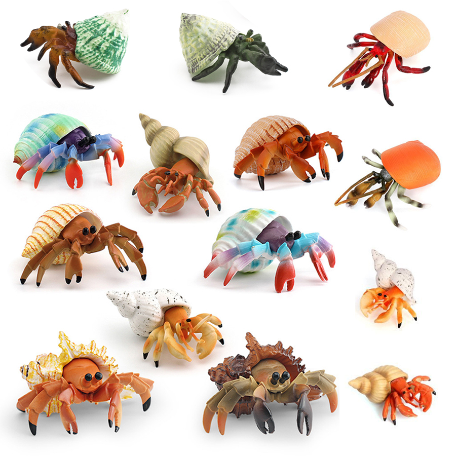 Realistic Hermit Crab Figurine - Kids Toys China ulasan dan harga
