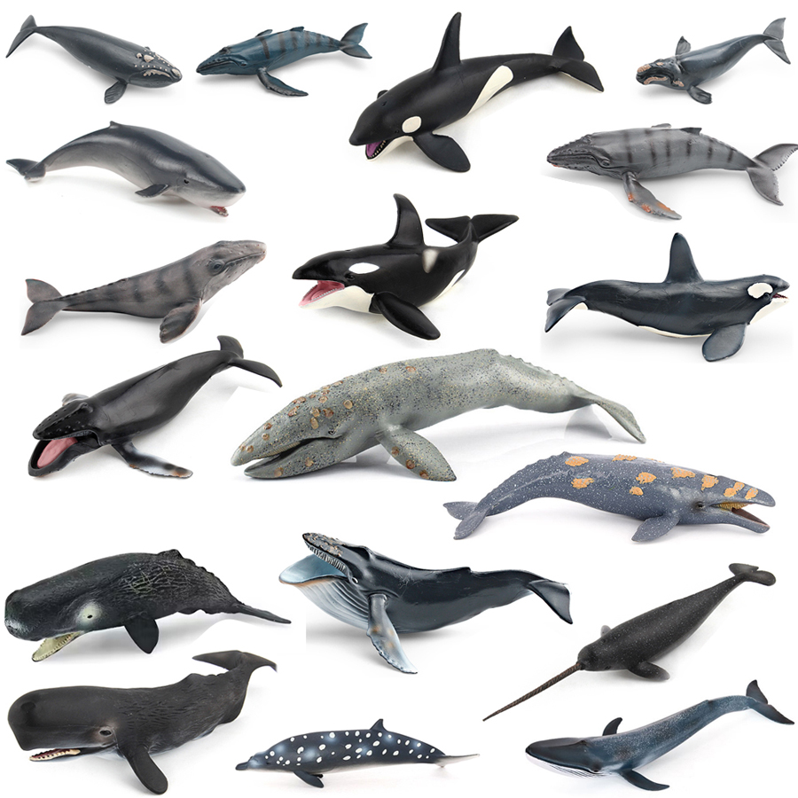 Realistic Humpback Whale Sperm - Kids Toys China ulasan dan harga