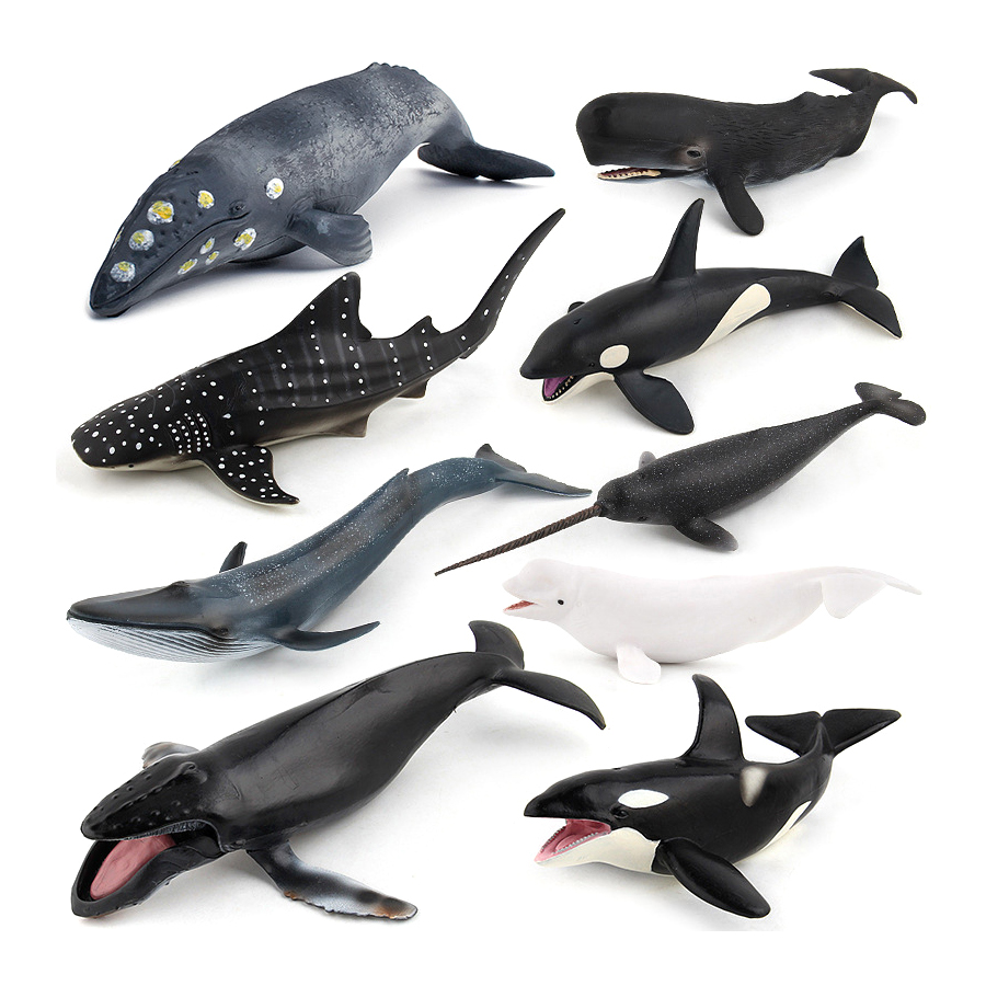 Realistic Humpback Whale Sperm - Kids Toys China ulasan dan harga