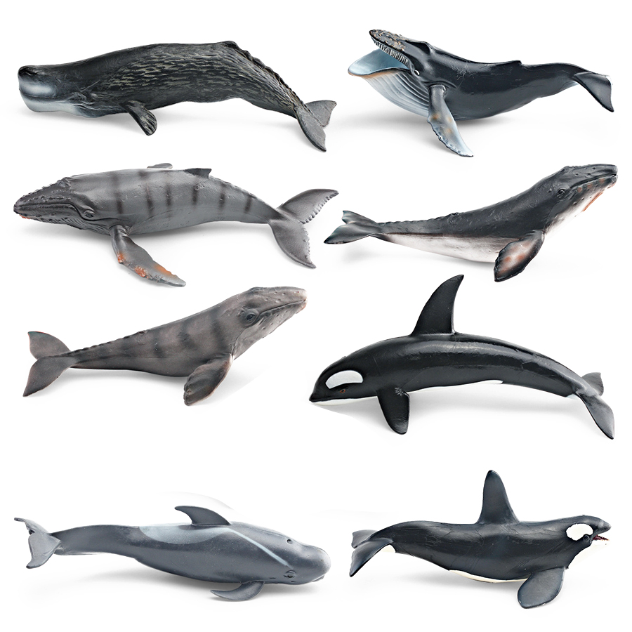 Realistic Humpback Whale Sperm - Kids Toys China ulasan dan harga