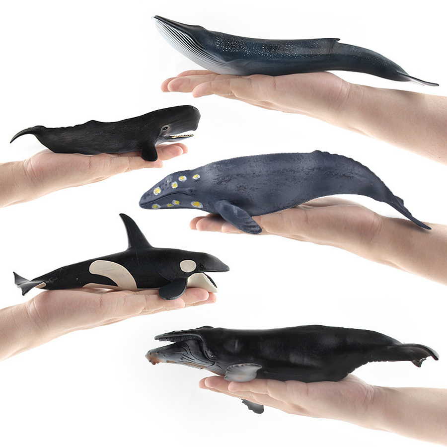 Realistic Humpback Whale Sperm - Kids Toys China ulasan dan harga