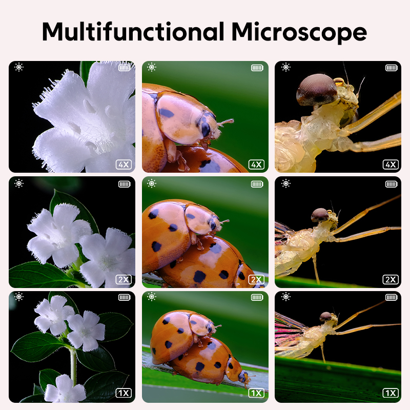 Mini Kids Optical Microscope W - Kids Toys Videos ulasan dan harga