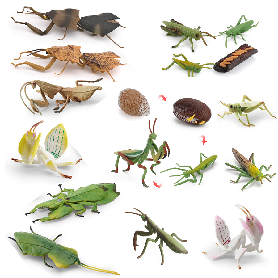 Realistic Orchid Mantis Dead L - Kids Toys China ulasan dan harga