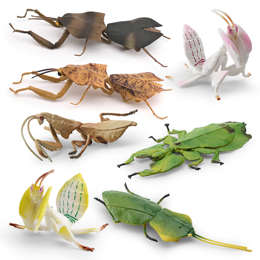 Realistic Orchid Mantis Dead L - Kids Toys China ulasan dan harga