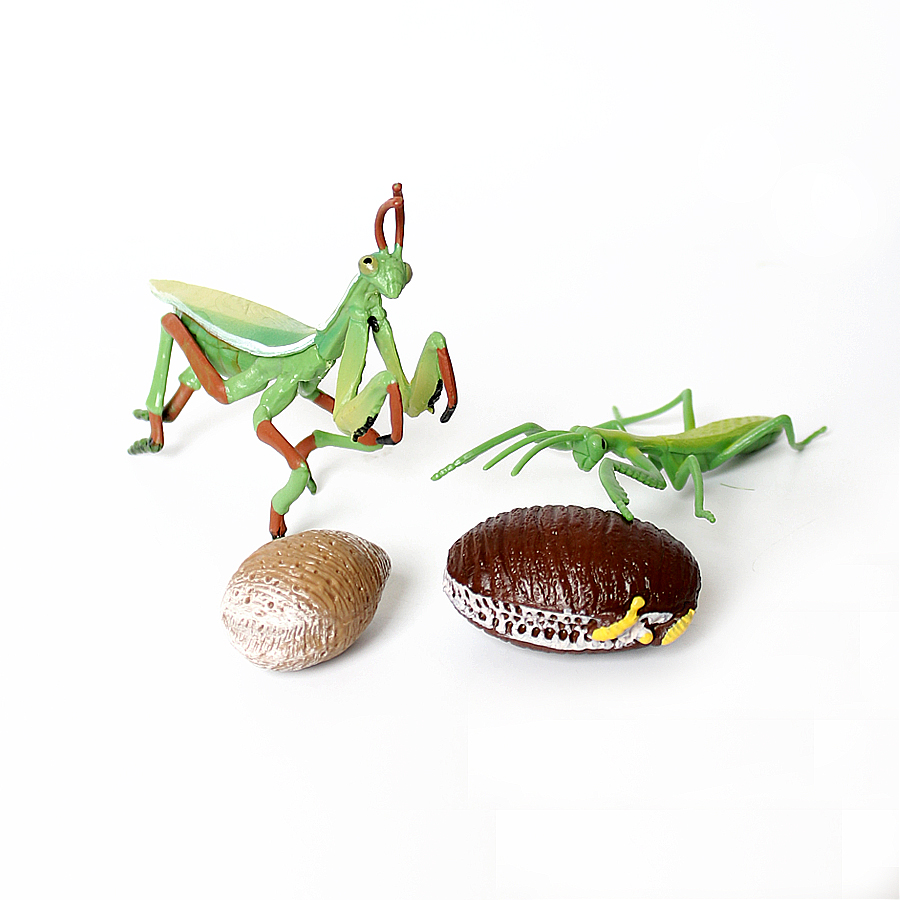 Realistic Orchid Mantis Dead L - Kids Toys China ulasan dan harga